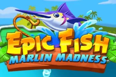 bmw555
